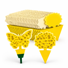 Load image into Gallery viewer, 48-Pack Fruit Fly &amp; Gnat Sticky Traps – Indoor + Outdoor Pest Control