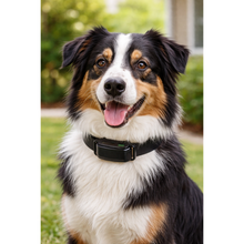 Load image into Gallery viewer, E-Collar Technologies BP-504 Barkless Pro No Bark Collar – Automatic Anti Bark