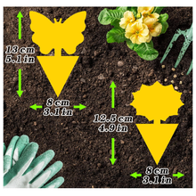 Load image into Gallery viewer, 48-Pack Fruit Fly &amp; Gnat Sticky Traps – Indoor + Outdoor Pest Control