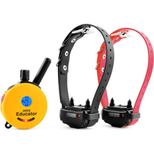 Load image into Gallery viewer, Mini Educator ET-302 Remote Dog Training System with 2 Collars by E-Collar Technologies – Adjustable, Waterproof Training for 2 Dogs